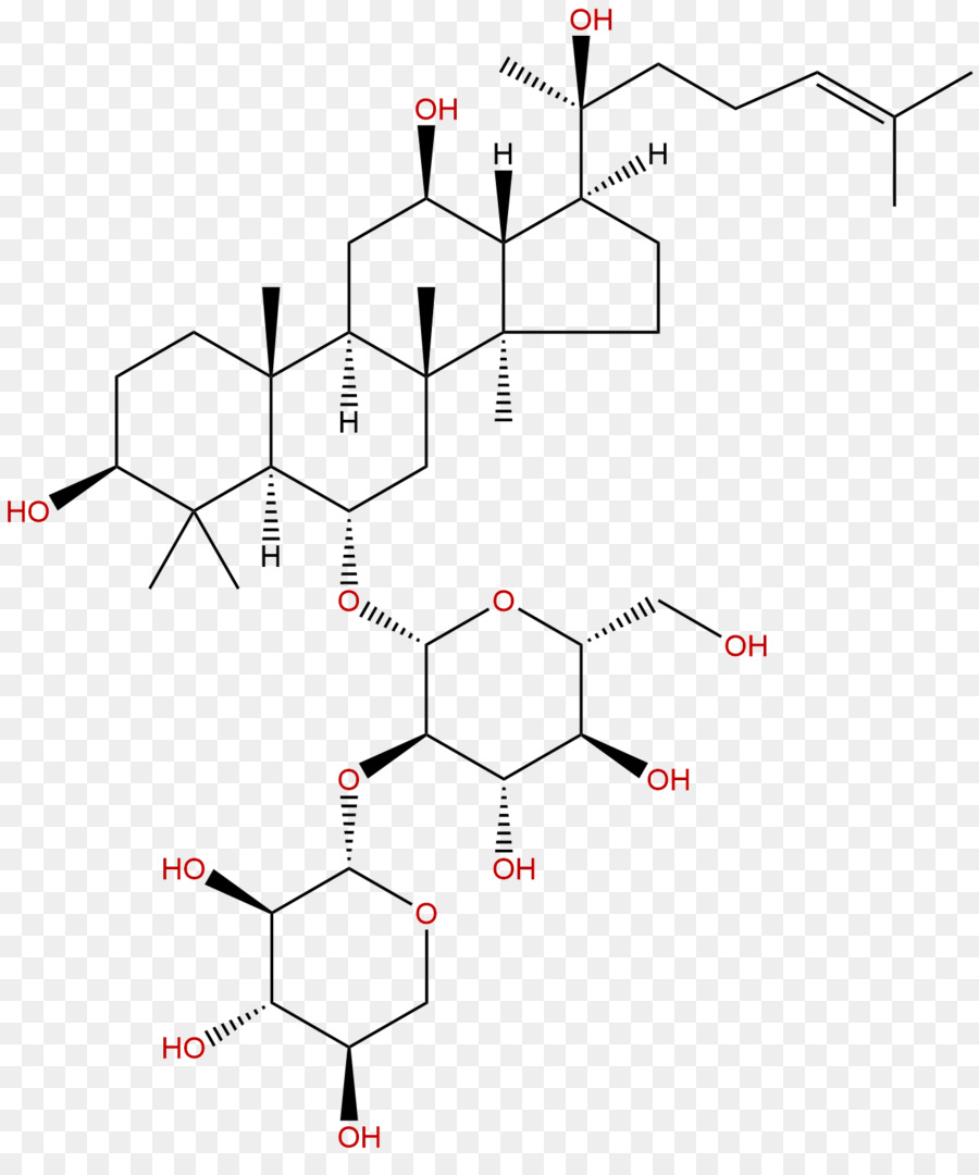 O Ginsenoside，Saponin PNG