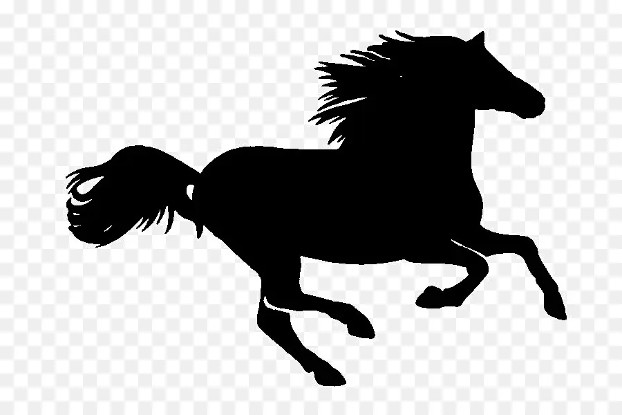 Garanhão，Cavalo Clydesdale PNG