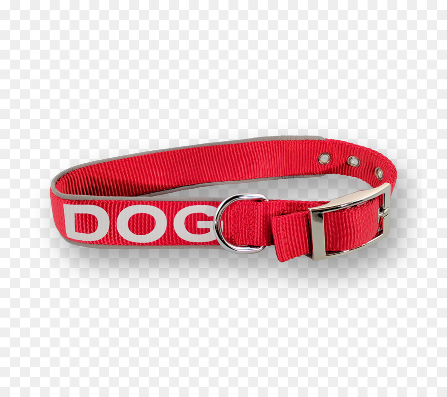 Belt，Coleira De Cão PNG