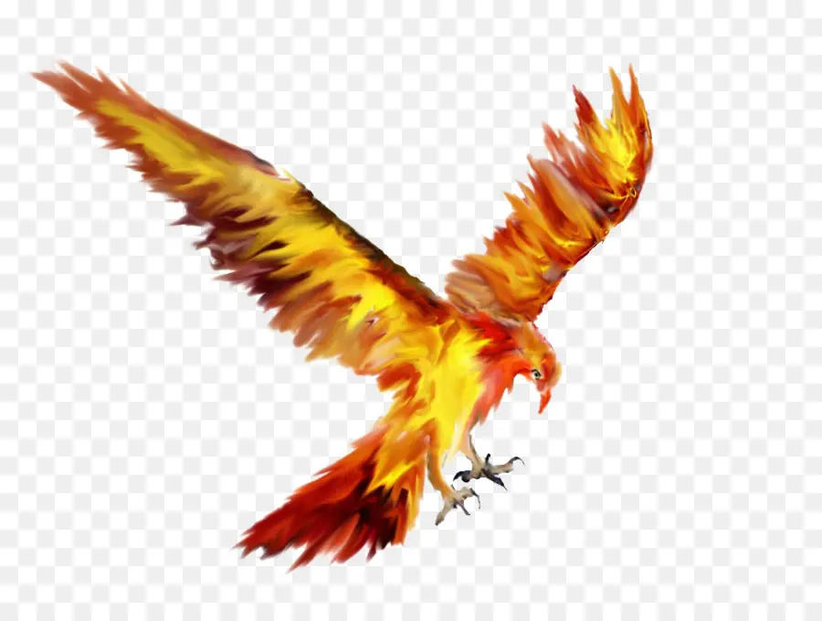 Phoenix，Aves PNG