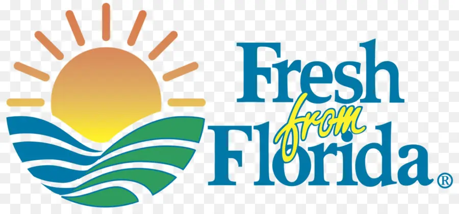 Logotipo Fresco Da Flórida，Sol PNG