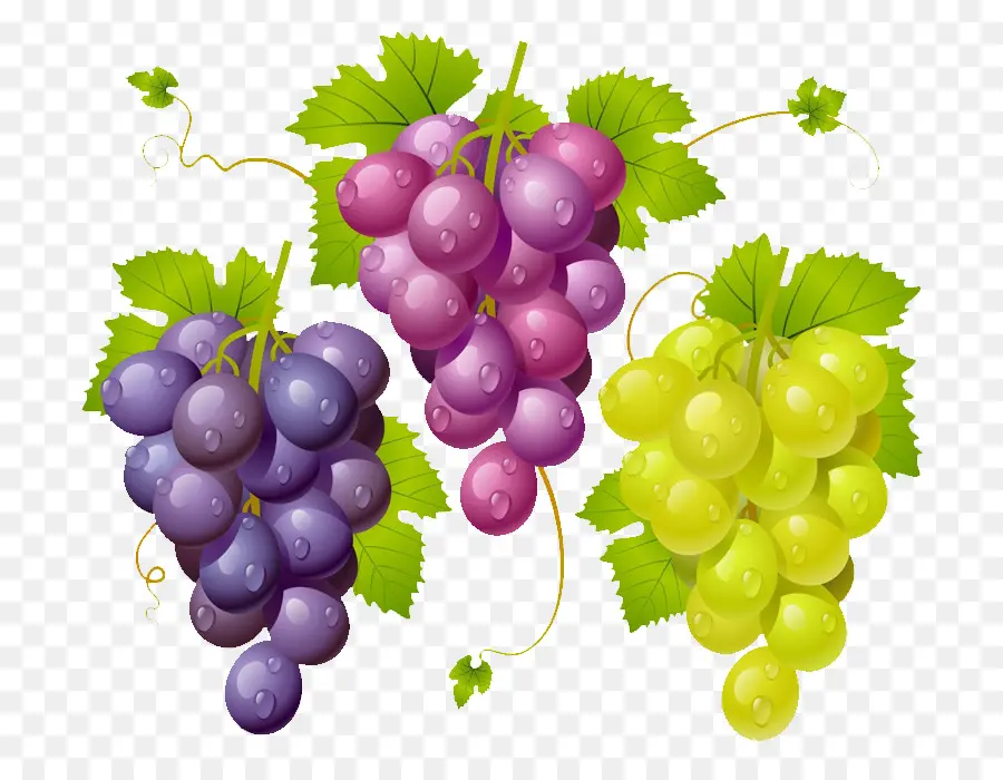 Uvas，Videira PNG