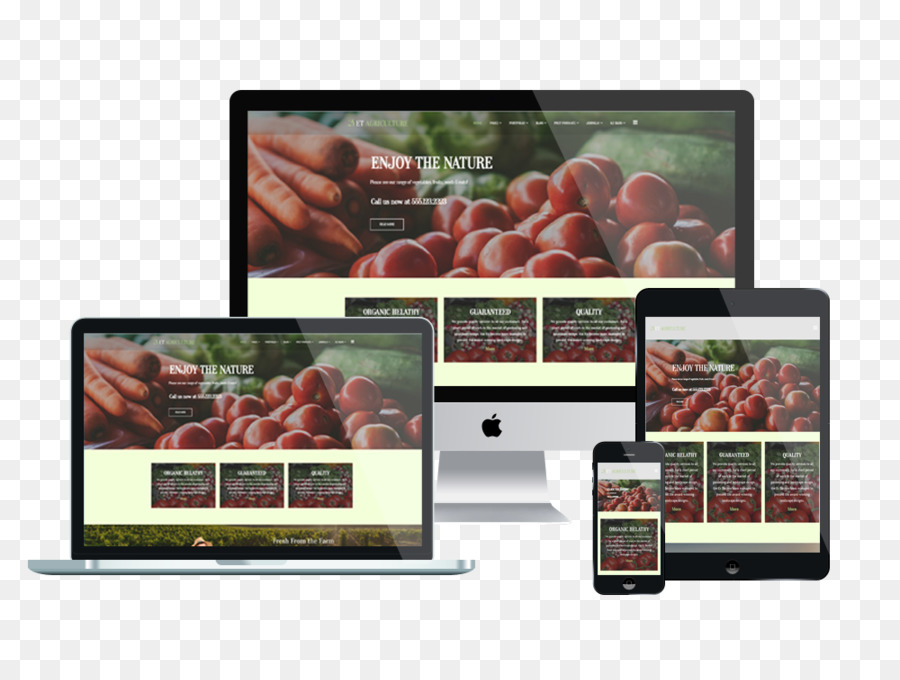 Responsive Web Design，Modelo PNG