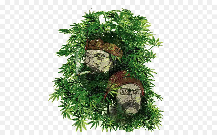 Rostos Em Cannabis，Plantas PNG