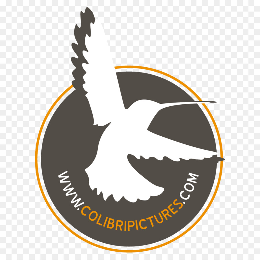 Logo，Bico PNG