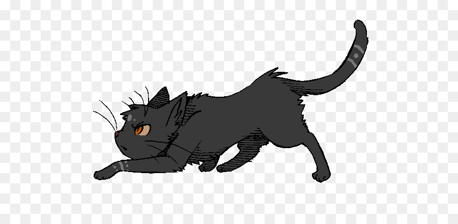 Gato Preto，Bicho De Estimação PNG