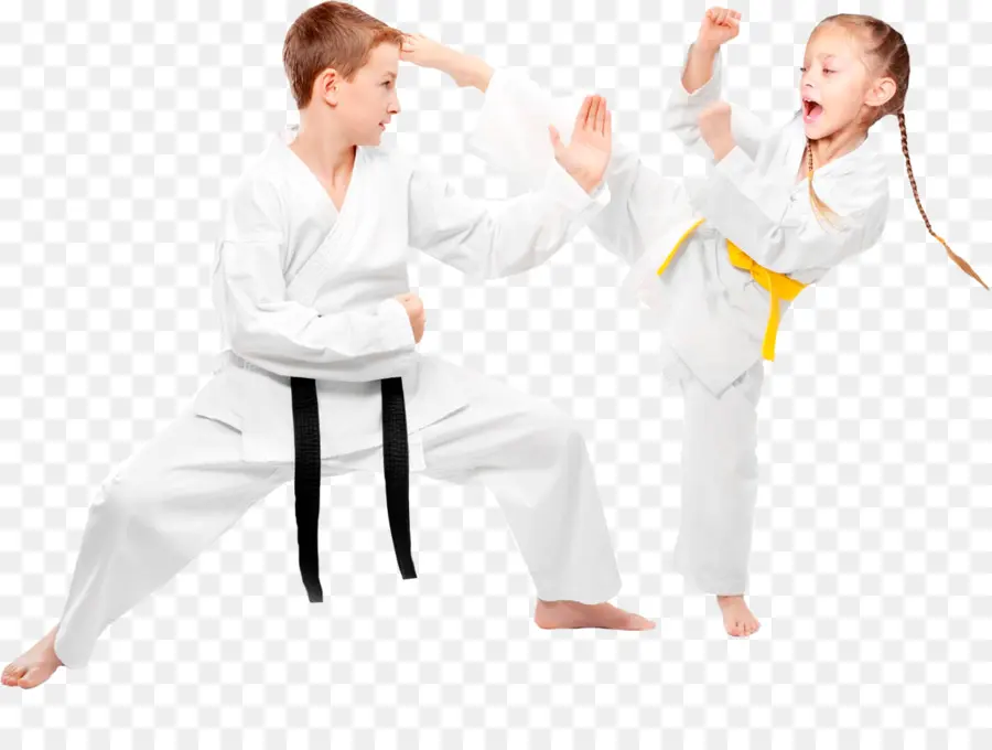 Taekwondo，Artes Marciais PNG