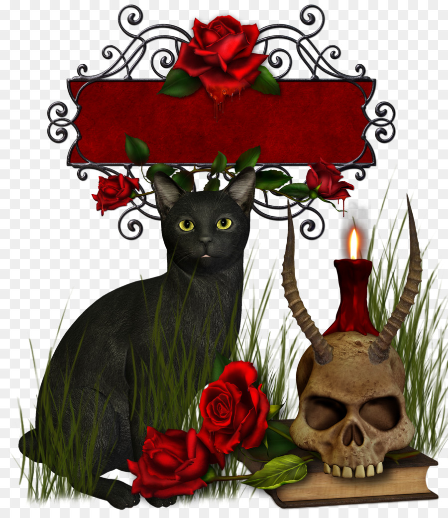 Black Rose，Gfycat PNG