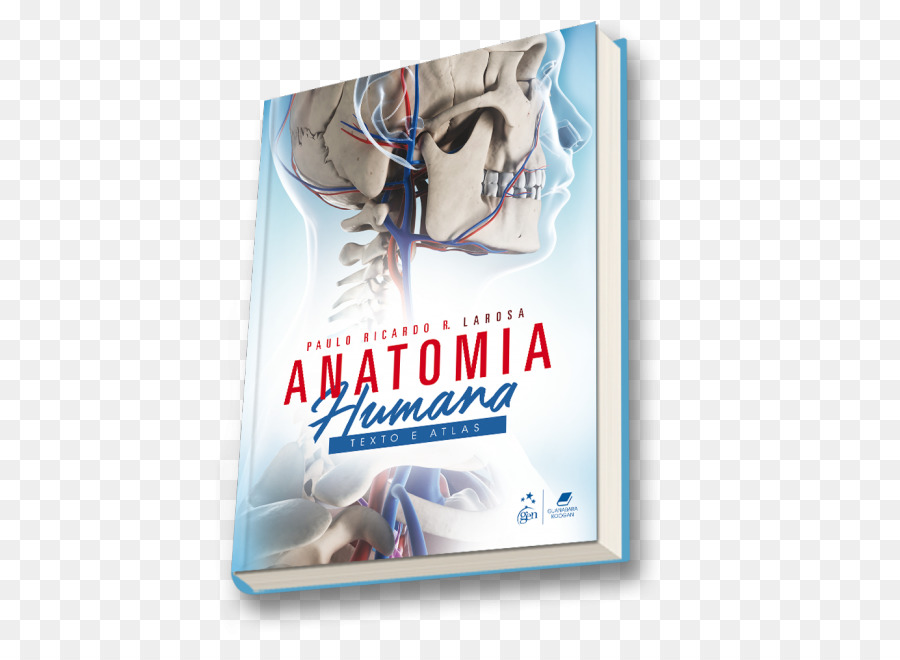 Atlas De Anatomia Humana，Anatomia Humana PNG