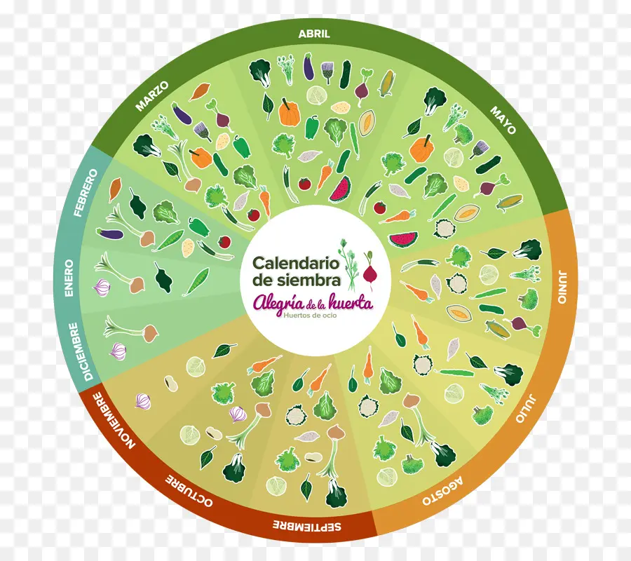 Calendário De Plantio，Jardinagem PNG