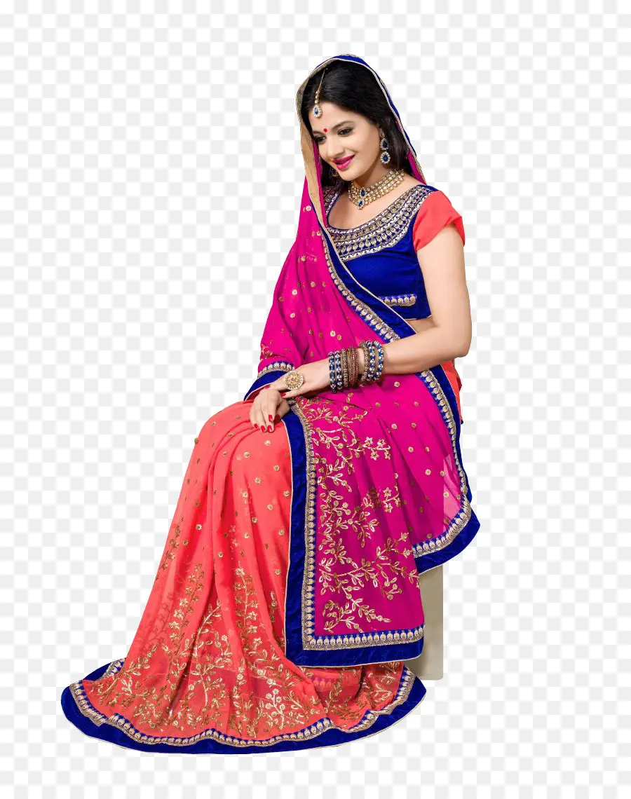 Sari，Lehengastyle Saree PNG