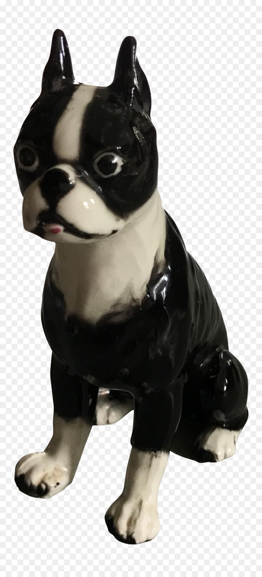 Boston Terrier，Raça Do Cão PNG