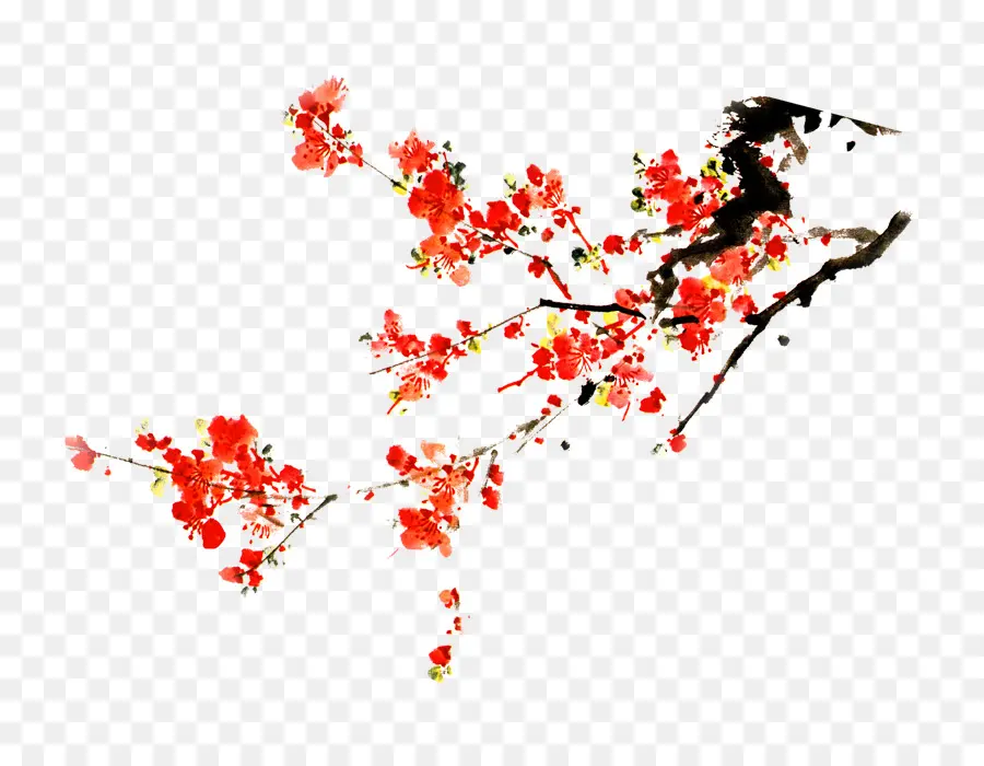 Blossom，Tinta PNG