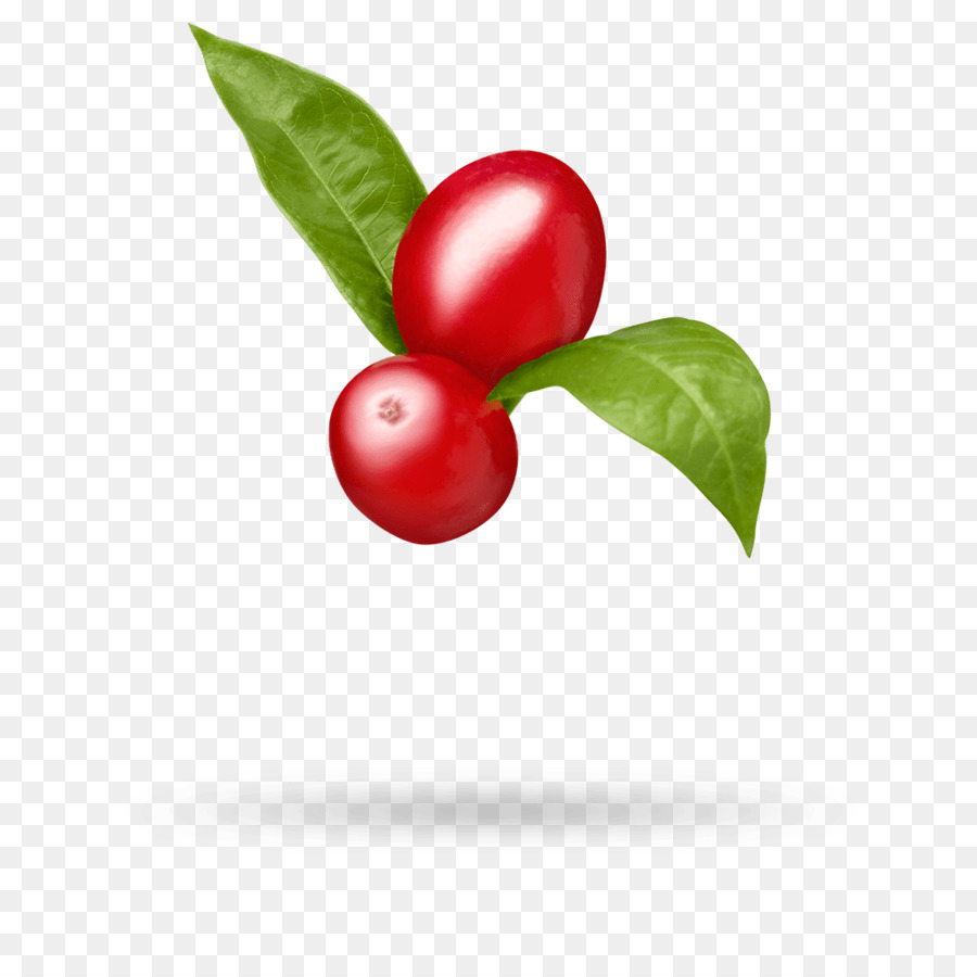 Barbados Cherry，Murtinho PNG