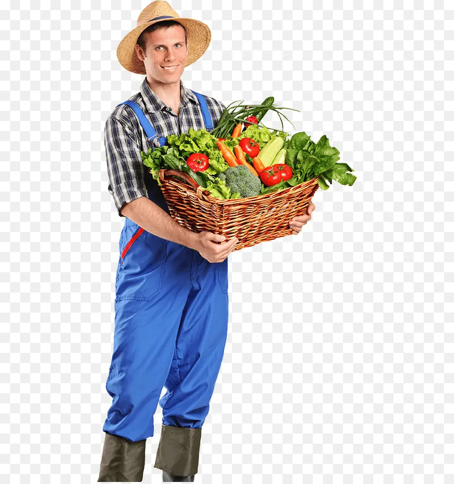 Alimentos Orgânicos，Agricultor PNG