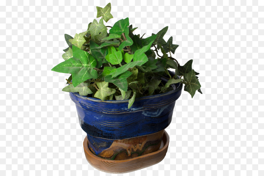 Primavera Verdes，Flowerpot PNG