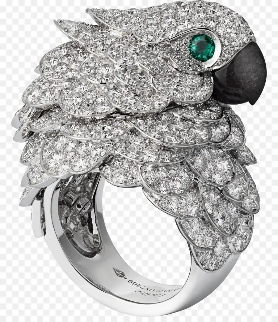 Papagaio，Cartier PNG