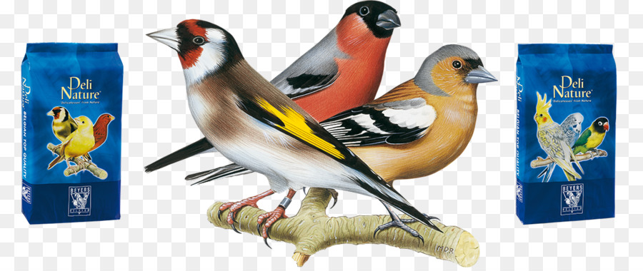 Delicatessen，Aves PNG