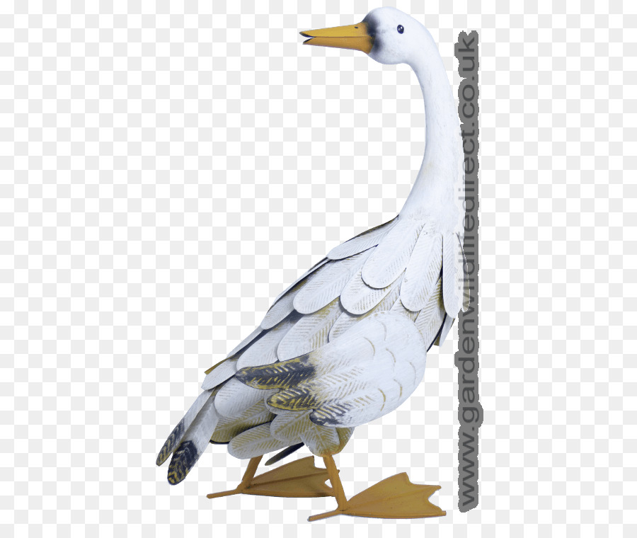 Pato，Ganso PNG