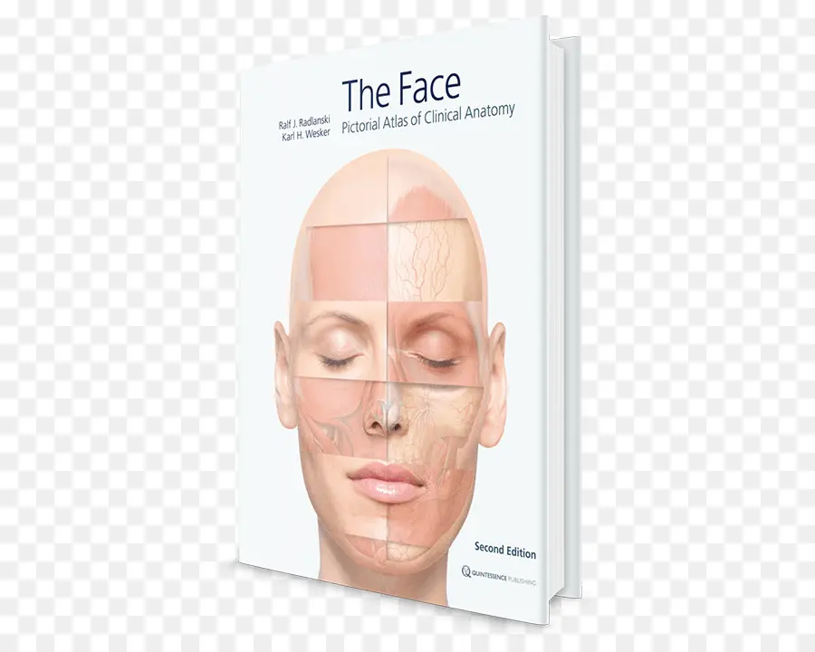 Livro De Anatomia，Face PNG