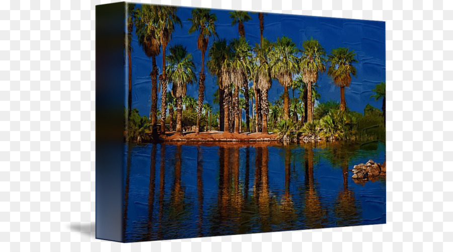 Azul Majorelle，Jardim Majorelle PNG