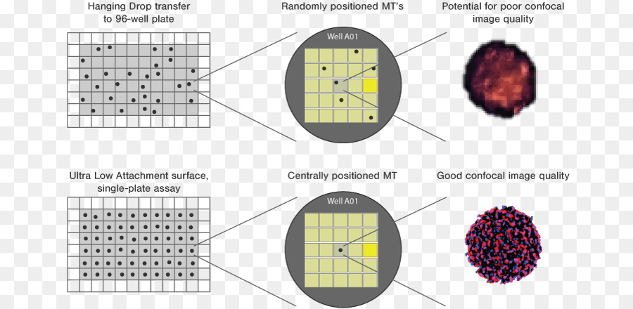 Tridimensional Do Espaço，Highthroughput Screening PNG