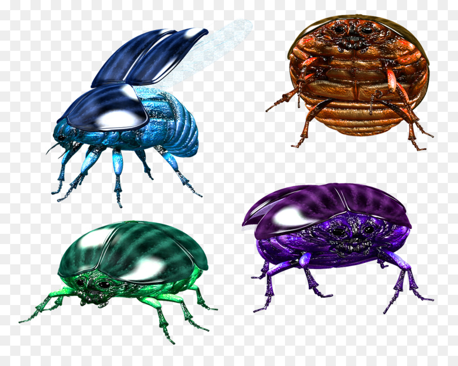 Scarabs，Pulgas PNG