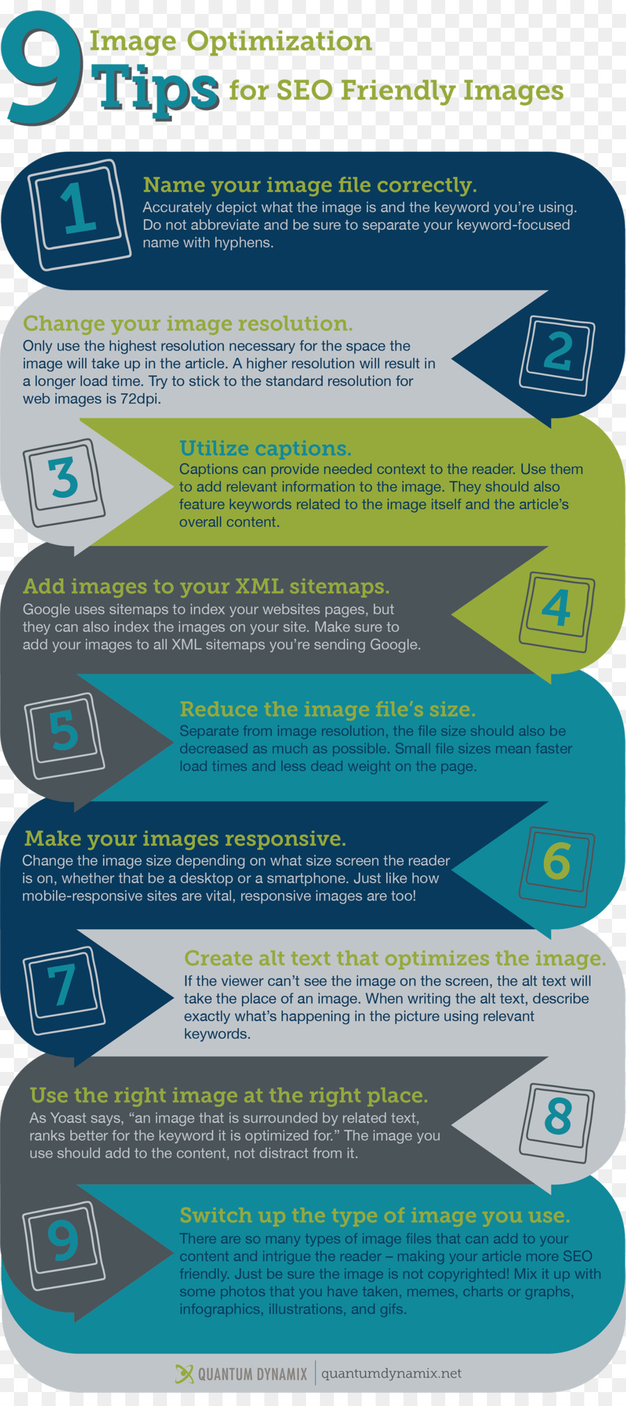 Infográfico De Dicas De Seo，Seo PNG