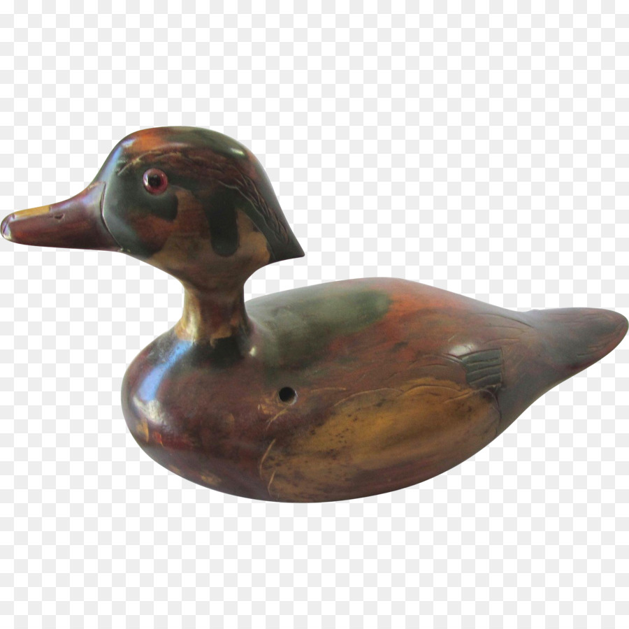 Pato Real，Pato PNG