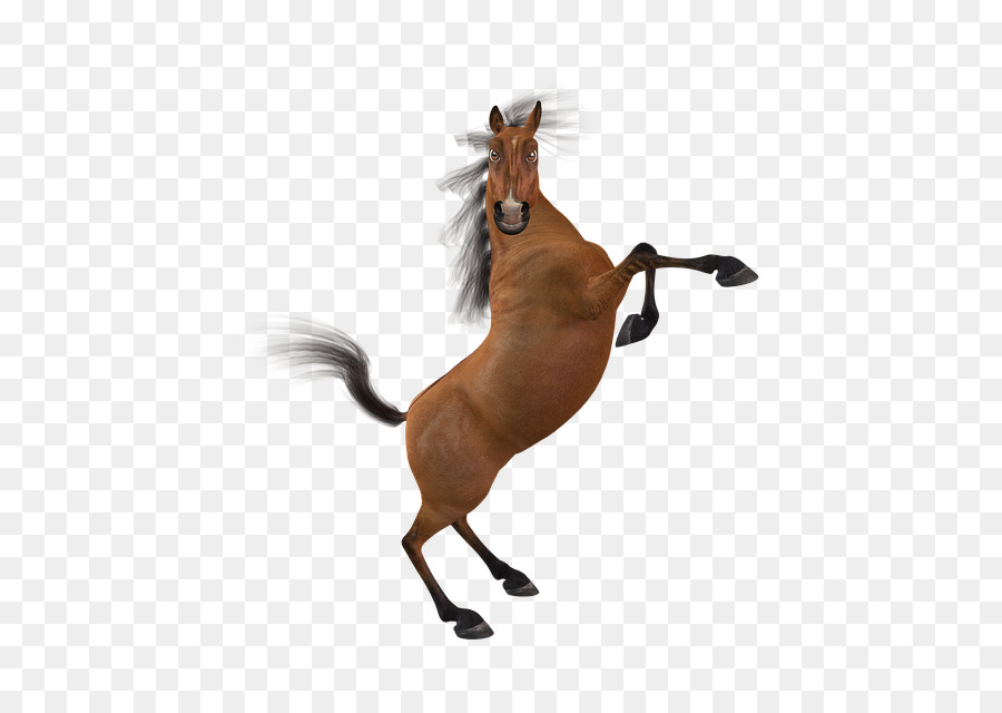 Mustang，Mane PNG