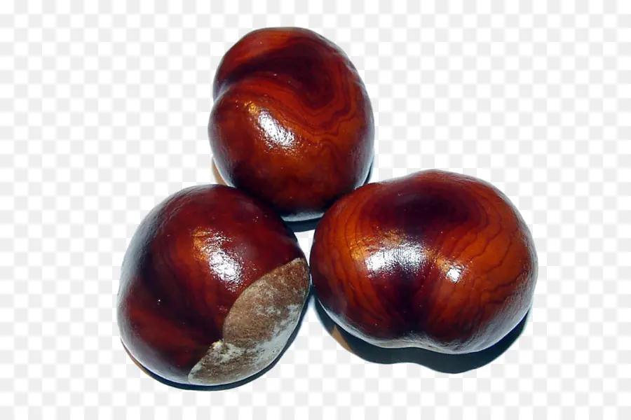 Chestnut，Tintura PNG