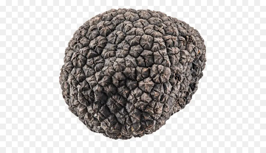 Trufa Negra，Brigadeiro PNG