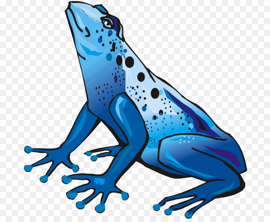 Sapo Azul，Anfíbio PNG