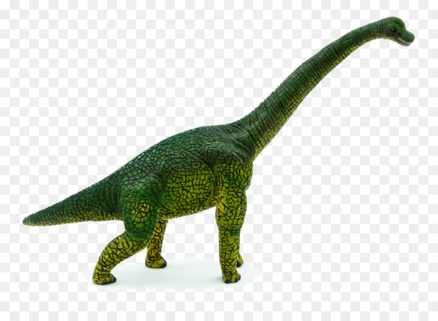 Brachosaurus，Estegossauro PNG