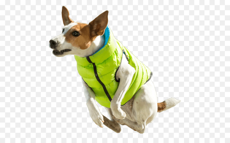 Raça Do Cão，Jaqueta PNG