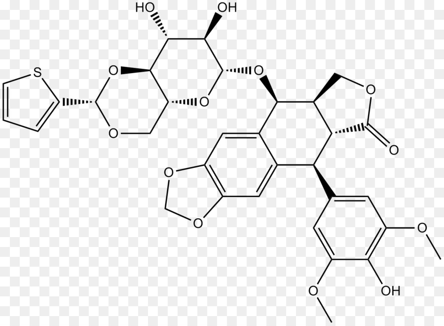 Topoisomerase，Teniposide PNG