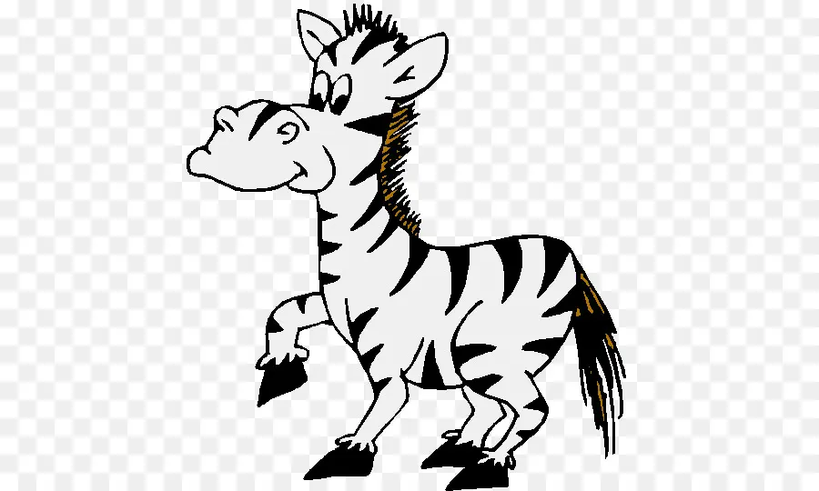 Zebra，Listras PNG