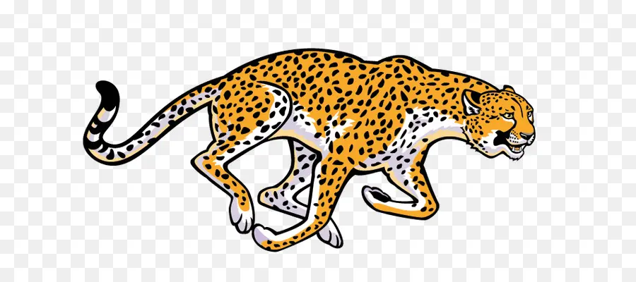 Cheetah，Leopard PNG