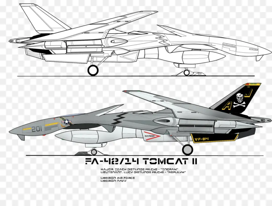 Grumman F14 Tomcat，De Avião PNG