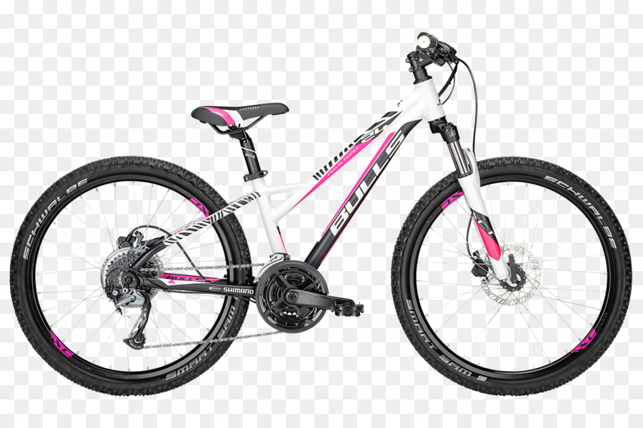 Bicicleta，Ciclismo PNG