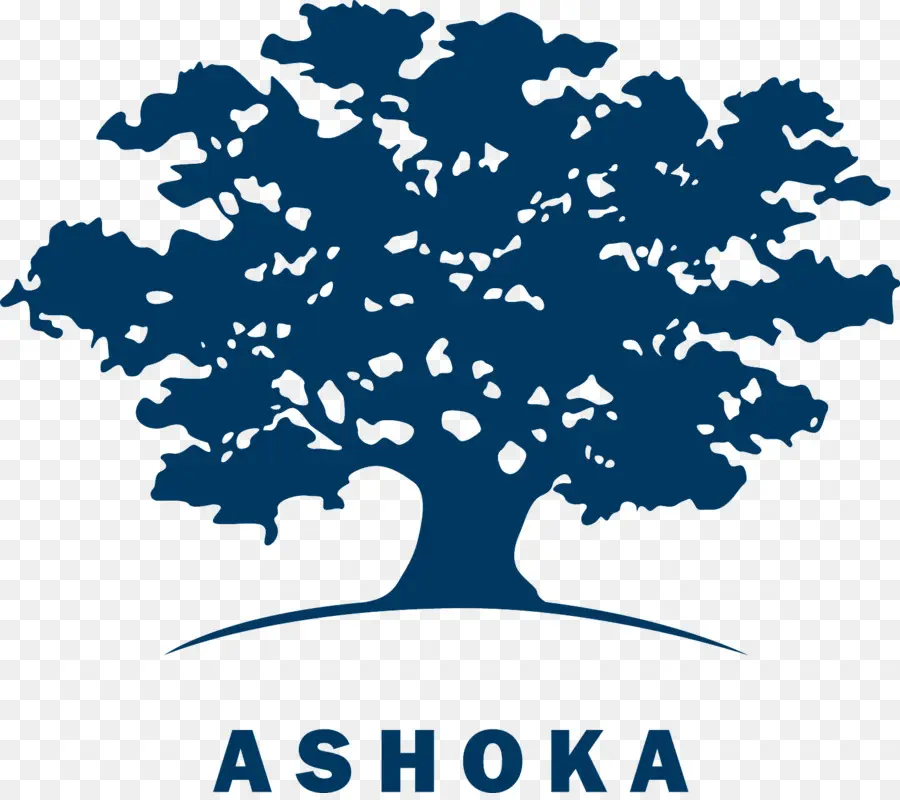 A Ashoka Inovadores Para O Público，Empreendedorismo Social PNG