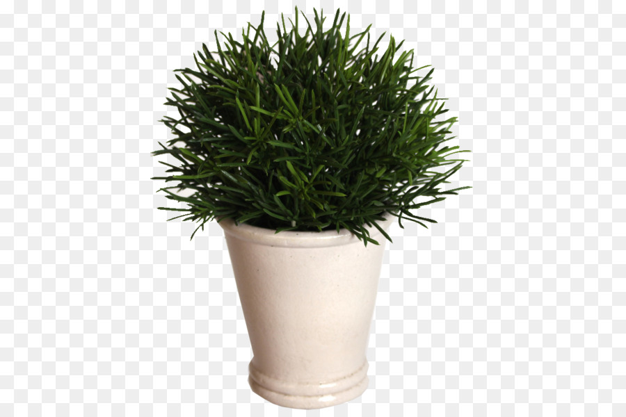 Flowerpot，Planta De Casa PNG