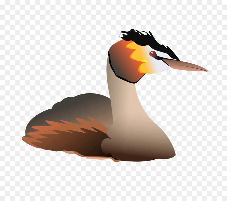 Pato，ícones Do Computador PNG