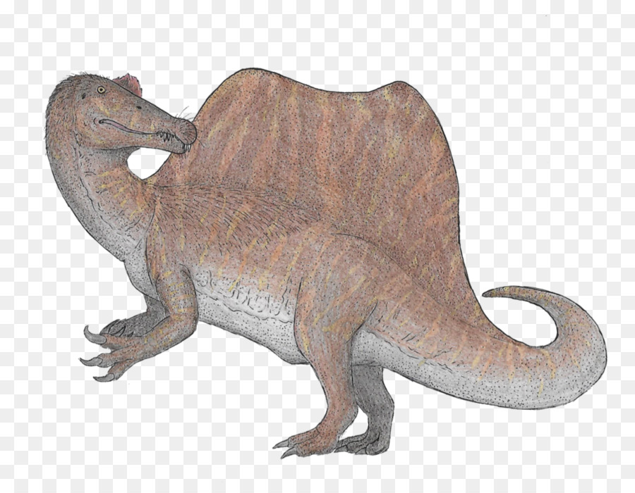 Spinosaurus，Tiranossauro PNG