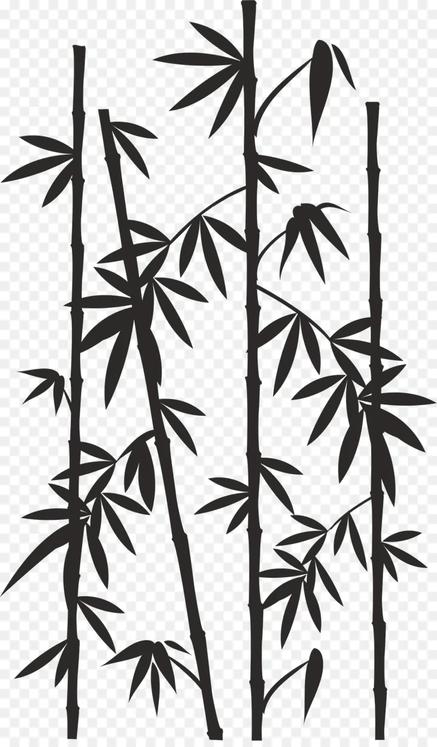 Bambu，Desenho PNG