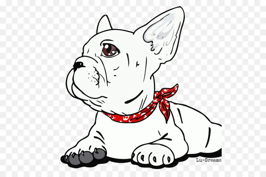 Buldogue Francês，Filhote De Cachorro PNG