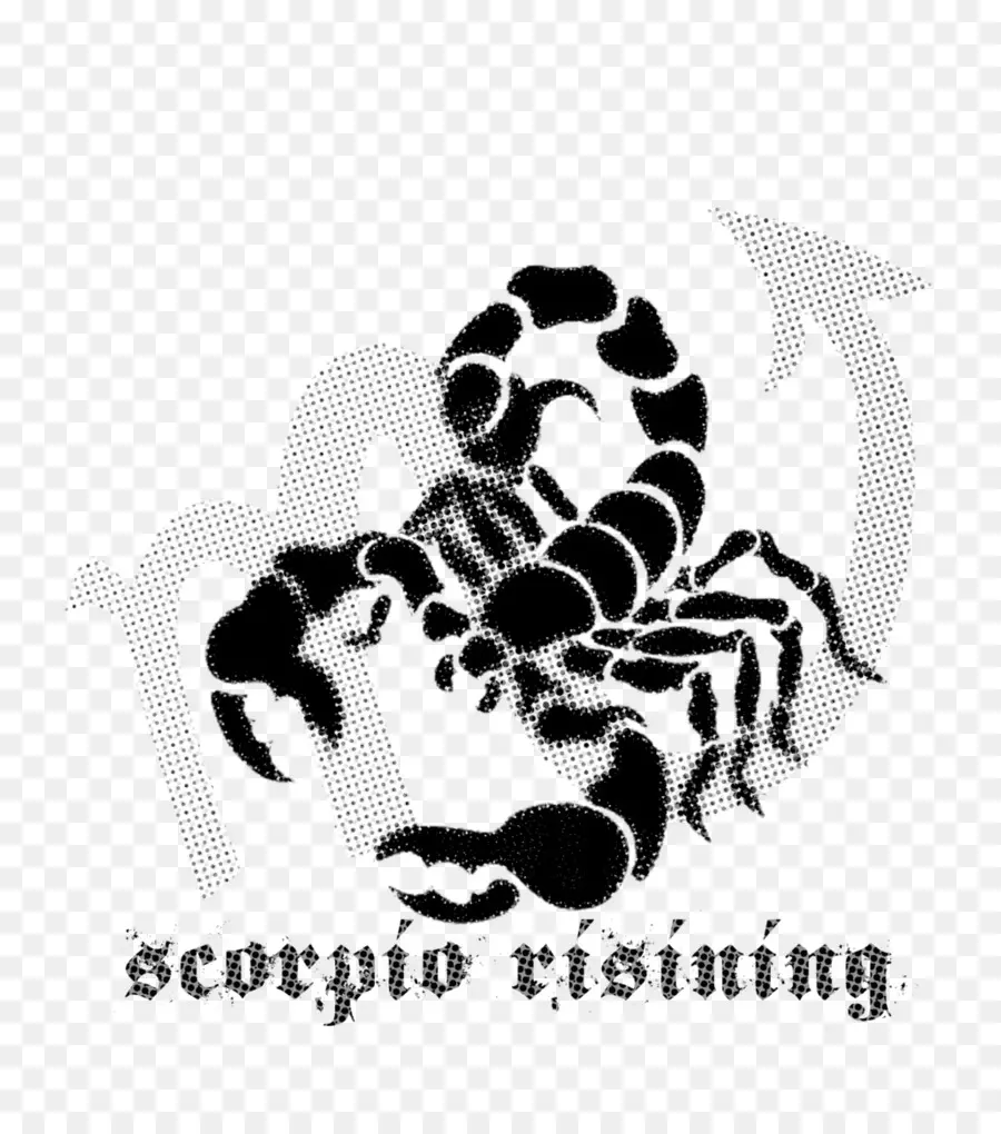 Escorpião，Fotografia De Stock PNG