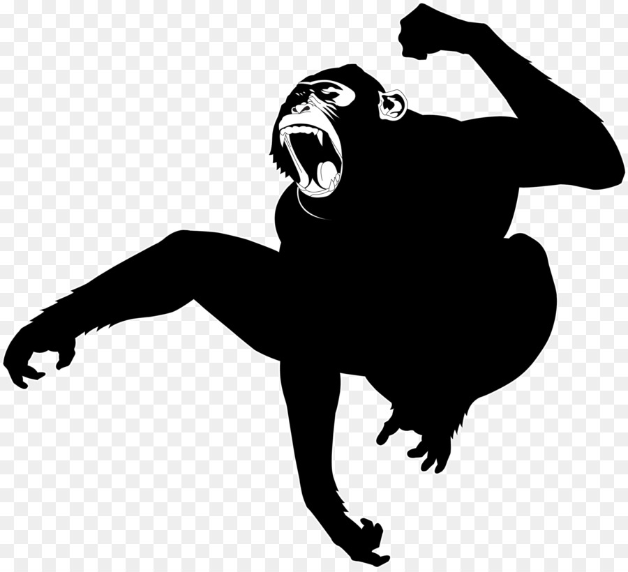 Ilustração Primata Macaco PNG - Imagens PNG - Monkey PNG