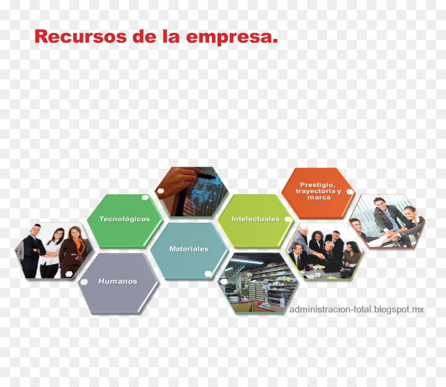 Empresa，Administração De Empresas PNG