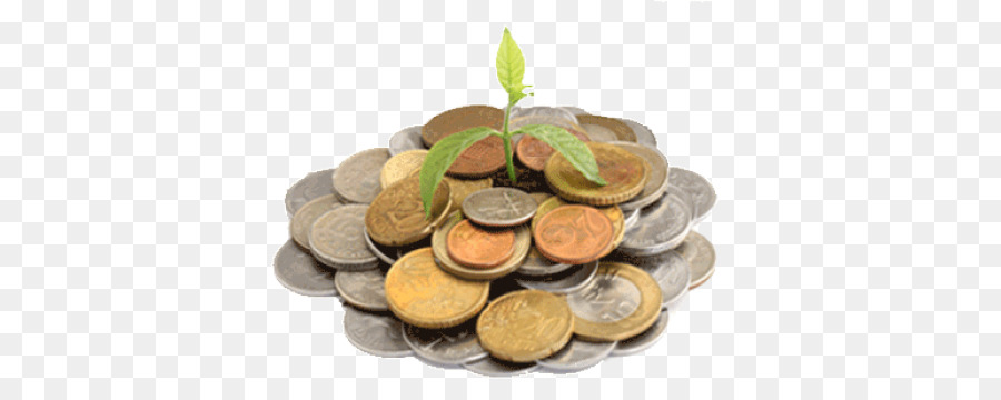 Moedas E Planta，Dinheiro PNG